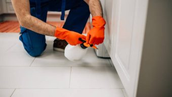 Exterminator in protective workwear spraying pesticide with sprayer in home kitchen.