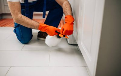 Exterminator in protective workwear spraying pesticide with sprayer in home kitchen.